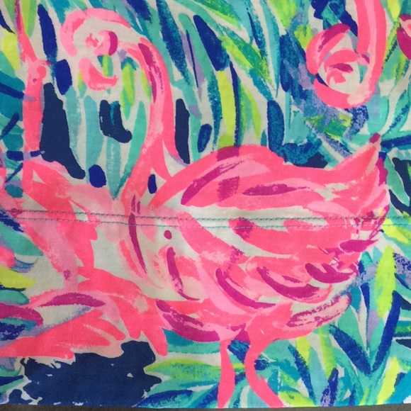 Lilly Pulitzer dress new - Picture 14 of 15